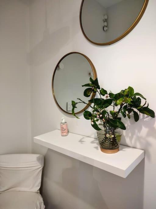Clasico Y Moderno Departamento En El Corazon De Buenos Aires Apartment Екстериор снимка